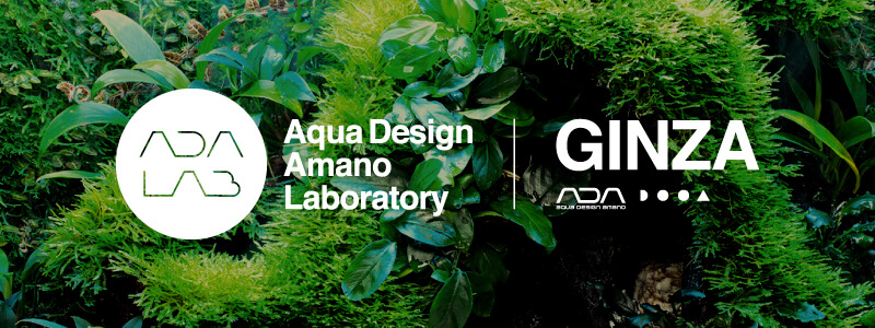 ADA LAB | Aqua Design Amano Laboratory – ADA LABは、ガラスケースと